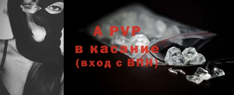 APVP СК КРИС  Великий Устюг 